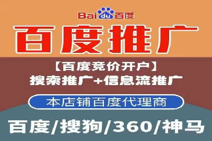 案例研究：百度推广托管助力电商品牌快速崛起
